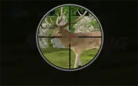 Sniper Hunt: Safari Survival Screen Shot 5