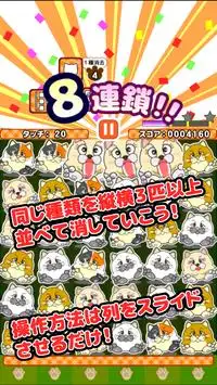 列スライドで３匹並べる無料にゃんこパズル「そろえてニャ～」 Screen Shot 0