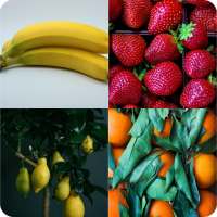Guess the Fruit - World Fruit