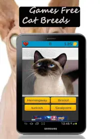 Cat Breeds: Cat Games Screen Shot 7