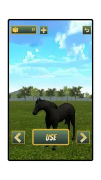 Sumba Runner : Endless Horse Runner Screen Shot 10