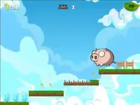 Angry Piggy Screen Shot 1