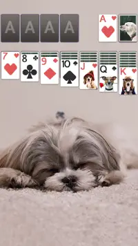 Solitaire Cute Puppies Theme Screen Shot 0