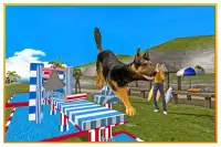 anjing stunts sim 3D Screen Shot 4