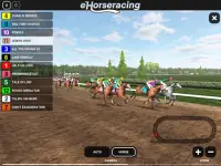 eHorseracing.com Race Viewer Screen Shot 8