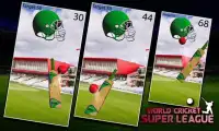 World Cricket Super League Screen Shot 3