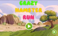 Crazy Hamster Run Screen Shot 8
