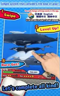 Whales Screen Shot 3