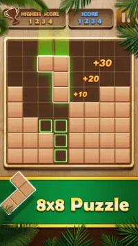 Wood Puzzle Mania - Block Puzzle Game Screen Shot 3