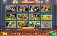 Cats and Dogs Jigsaw Puzzles Screen Shot 3