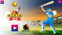 Cricket 2019 World Cup Fever Screen Shot 0