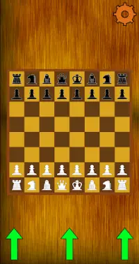 Chess Offline Two Player Screen Shot 0