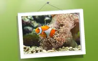 Hewan Puzzle: Fishes Screen Shot 0