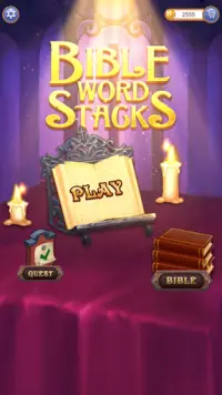 Bible Word Stacks Screen Shot 0