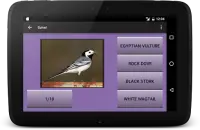 104 Birds Quiz Screen Shot 15