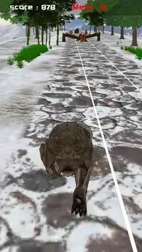 Jungle Bear Run 3D Screen Shot 2