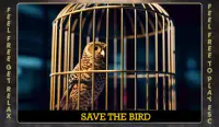 Jeux d'évasion- Cage à oiseaux Screen Shot 2