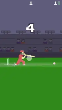Pixel Cricket Game Screen Shot 2