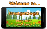 Hedgehogs Screen Shot 0