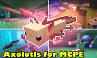 Axolotls Mod for Minecraft PE Screen Shot 1