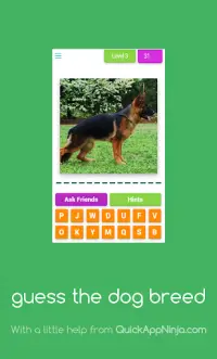 Guess The Dog Breed- Quiz Screen Shot 2