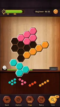 Wood Block Puzzle Hexa Screen Shot 8