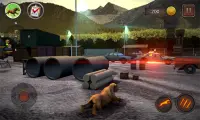 Dachshund Dog Simulator Screen Shot 3