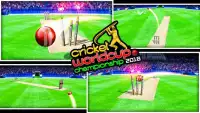 Wicket Hit Juego de Cricket Screen Shot 4