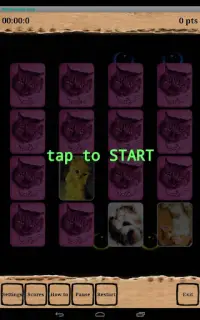 Kitty Brain Box Screen Shot 8