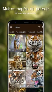 Papéis de parede com tigres 4K Screen Shot 1