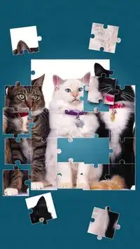 Chats Mignons Jeux De Puzzle Screen Shot 2