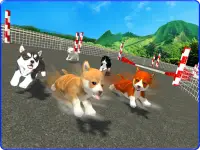Cute Puppy Dog Racing Sim 2017 Screen Shot 7