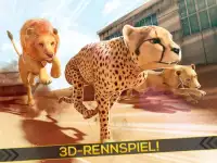Leoparden gegen Löwen! Wild Savanne Rennen Spiel Screen Shot 3