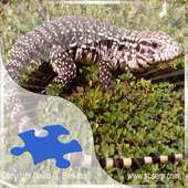 Tegus Jigsaw Puzzles