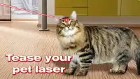 Laser Kitten Simulator Pro Screen Shot 4