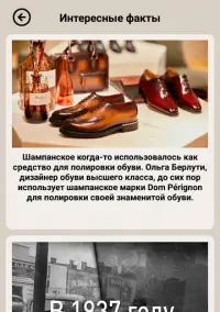 Всемирная история : Викторина по истории Screen Shot 17