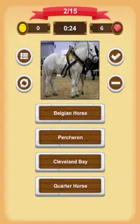 Horse Quiz Screen Shot 7
