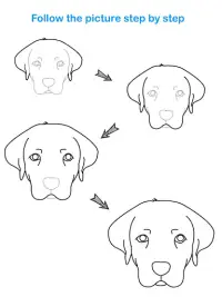 How To Draw Animal Screen Shot 8