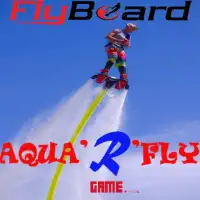FLYBOARD-GAME Screen Shot 2