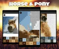 Horse Pixel Art: Pony Color By Number Game Screen Shot 0