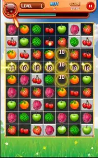 Fruits Fresh Land Screen Shot 3