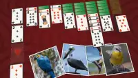 Solitaire Birds Screen Shot 2