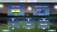 Unlimited Cricket 3D Screen Shot 2