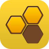 Honeycomb Puzzle