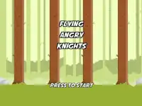 Flying Angry Knights Screen Shot 0