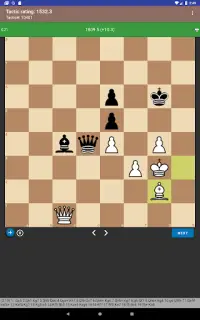 Chess Tactics Screen Shot 3