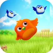 Taptap Bird - Puzzle games