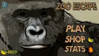Zoo Escape Screen Shot 4