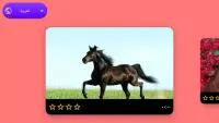 أحجية الصور المقطوعة حصان - العاب حصان للبنات Screen Shot 1