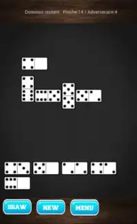 Domino Dominoes Screen Shot 1